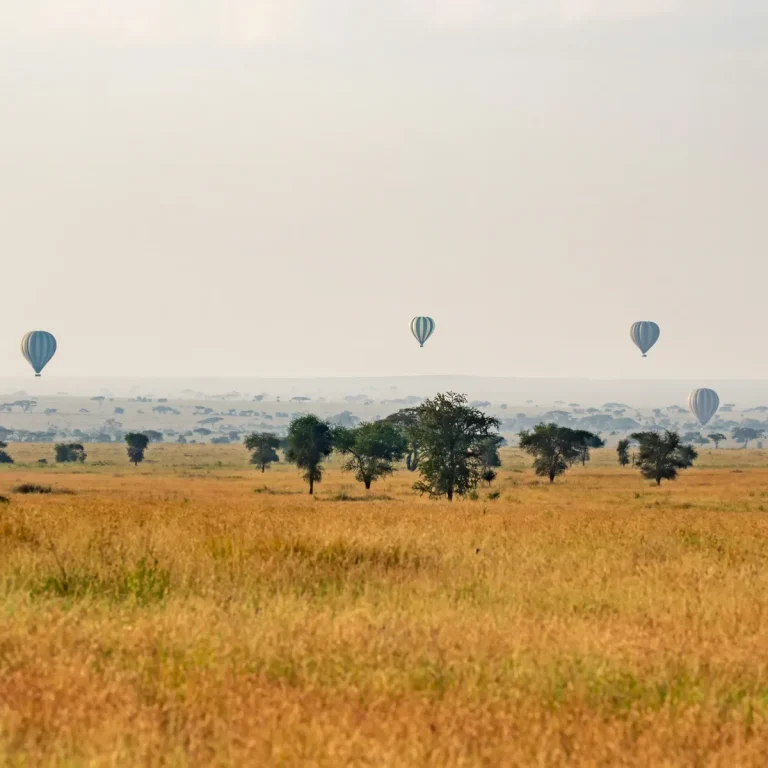 tanzania hot air balloon
